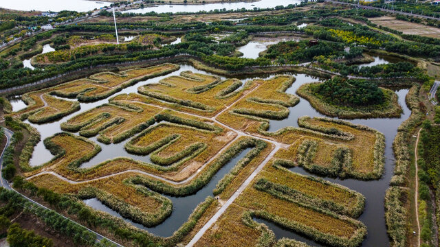 天津古海岸湿地秋季航拍