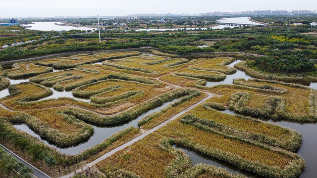 天津古海岸湿地秋季航拍