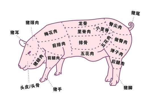 猪肉部位分割图