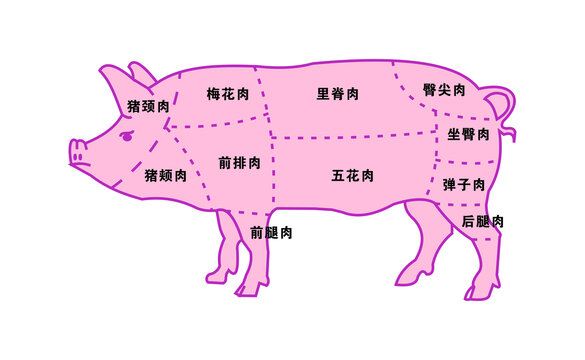 猪肉部位分割图