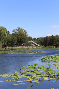 圆明园长春园景区