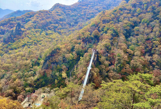 天桥沟玻璃桥秋景