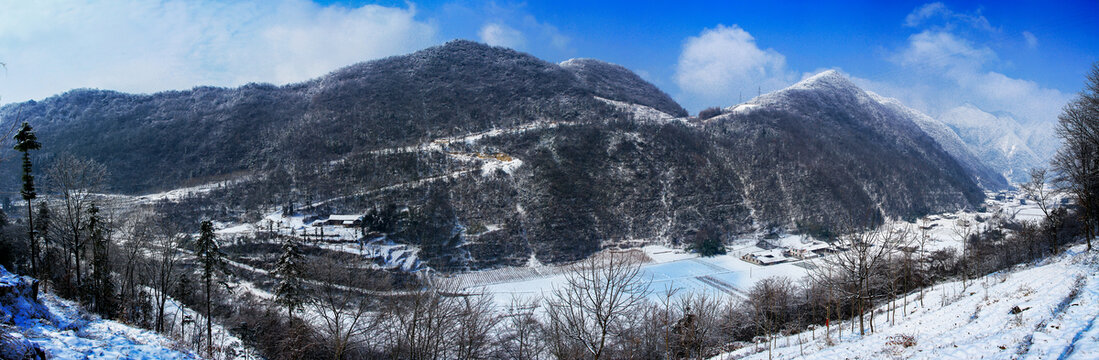 雪地风光