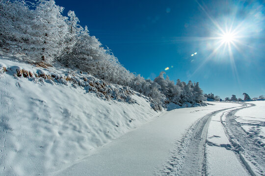 雪地风光