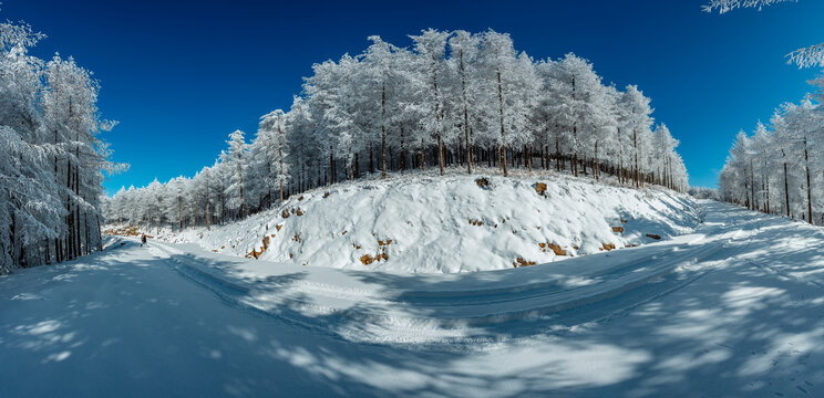 雪地风光