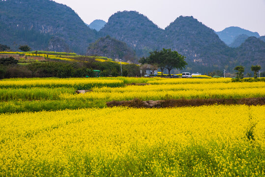 山村春景