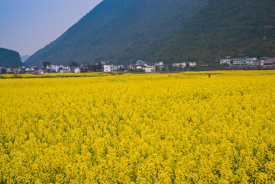 山村春景