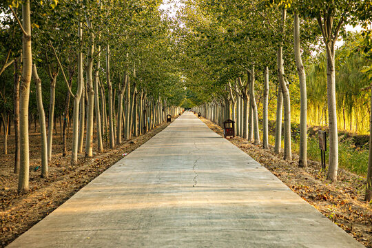 乡村道路