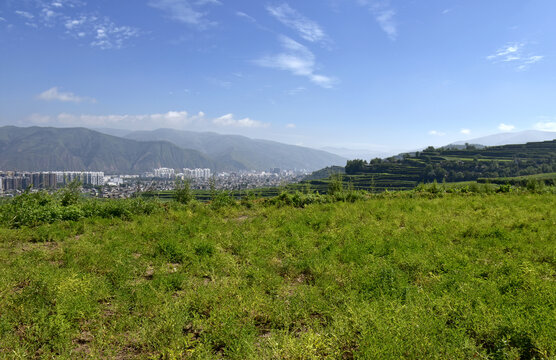 黄芪地