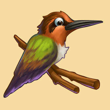 三维热带动物啄木鸟