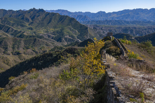 金山岭长城秋色