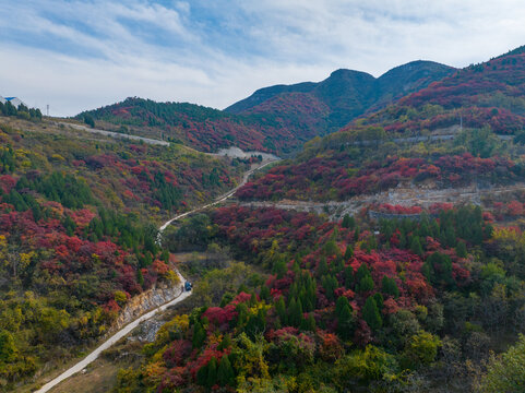 济南彩石劈山红叶