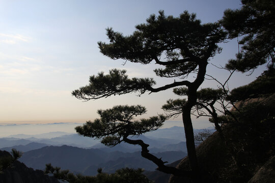 黄山风光