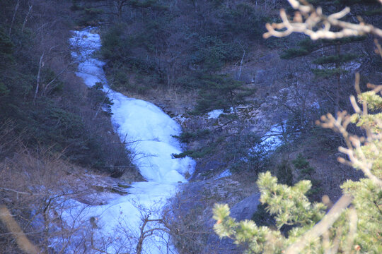 黄山的雪