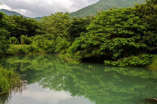 山清水秀绿植葱郁