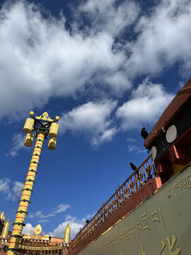 松赞林寺上空的红嘴山鸦