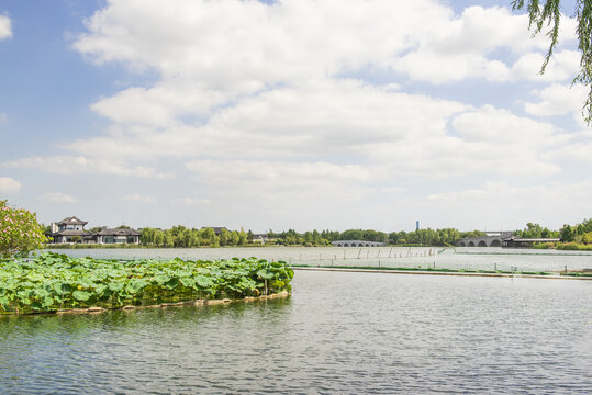 绍兴迪荡湖公园