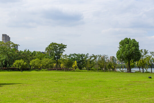 草坪树林