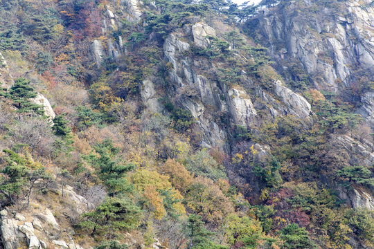 秋天的蒙山龟蒙景区