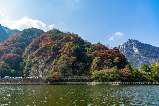 翠华山秋景