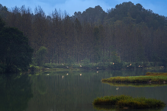 秦岭山水风光