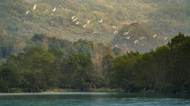 秦岭山水飞鸟风光