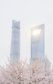 上海陆家嘴摩天大楼与樱花