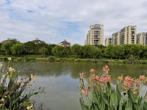 蓝天白云柳树湖泊建筑