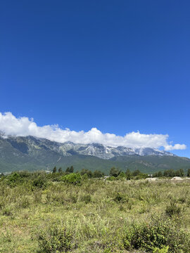 高山草甸