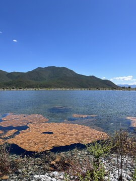 高原湖泊