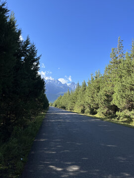 通往雪山的绿荫路