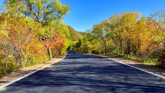 秋天的公路