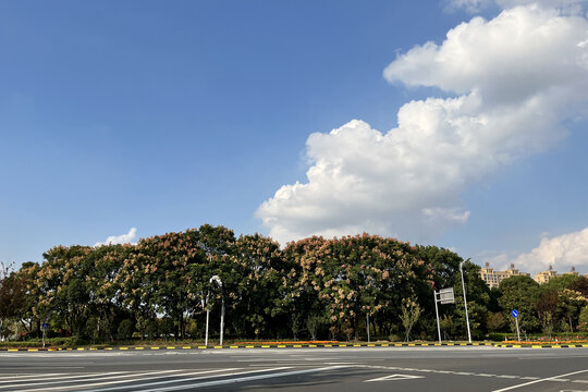 绿化街景