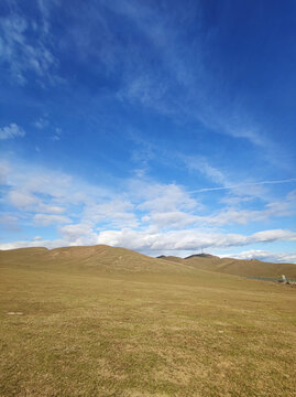 草原山坡草场