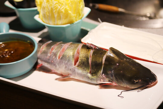 铁锅炖鮰鱼