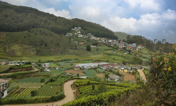 努沃勒埃利耶风光15