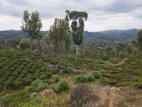 中部山区风光3