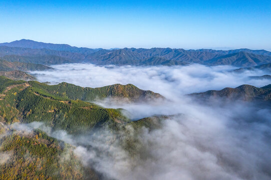 秦岭秋色