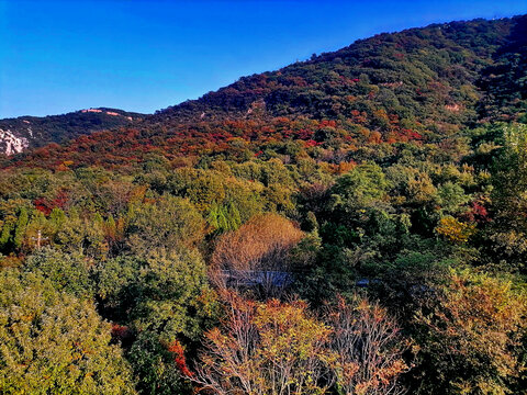 嵩山秋景