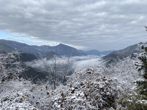 大山里的雪景