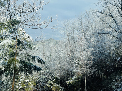 路上的雪景