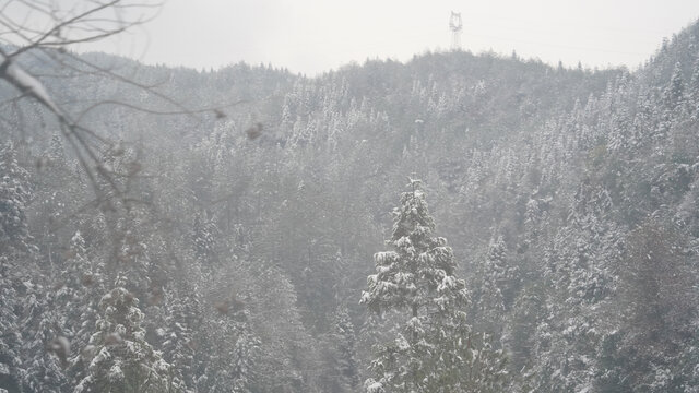 山里的雪