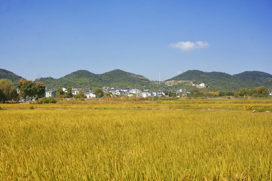 田园风光