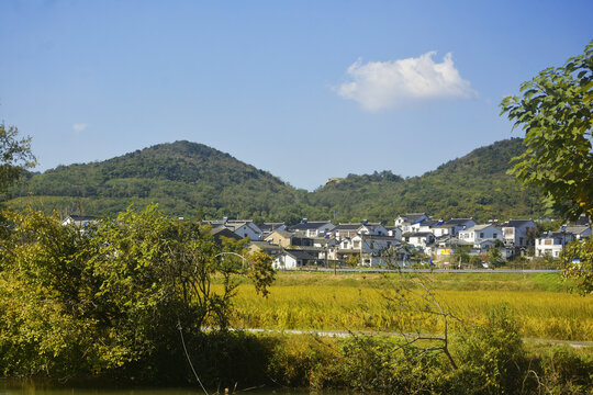 乡村美景