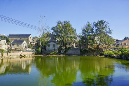 乡村美景