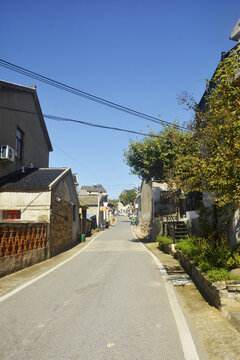 村庄小路