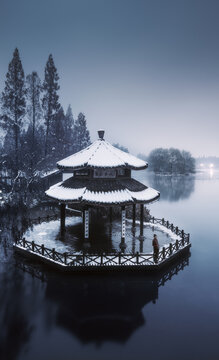 杭州茅家埠黛色参天雪景