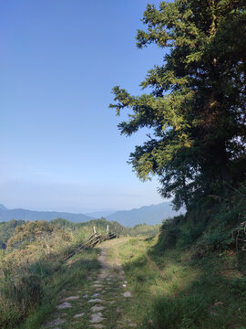 山路