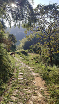 山路