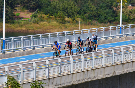 全国公路自行车赛